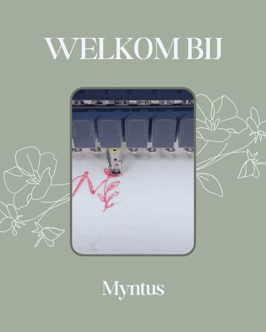 Welkom bij Myntus
